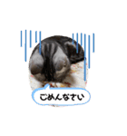 トラちゃんスタンプ PART1（個別スタンプ：9）