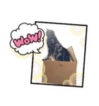 トラちゃんスタンプ PART1（個別スタンプ：18）