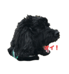 黒い犬エレエレ（個別スタンプ：5）