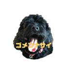 黒い犬エレエレ（個別スタンプ：6）