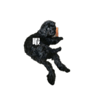 黒い犬エレエレ（個別スタンプ：7）