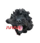 黒い犬エレエレ（個別スタンプ：13）