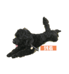 黒い犬エレエレ（個別スタンプ：16）