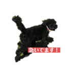 黒い犬エレエレ（個別スタンプ：17）