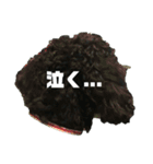黒い犬エレエレ（個別スタンプ：18）