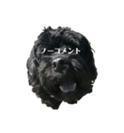 黒い犬エレエレ（個別スタンプ：21）