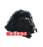 黒い犬エレエレ（個別スタンプ：23）