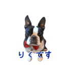 ぼすてりくかい（個別スタンプ：1）