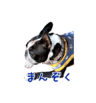 ぼすてりくかい（個別スタンプ：12）