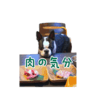 ぼすてりくかい（個別スタンプ：13）