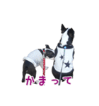 ぼすてりくかい（個別スタンプ：18）