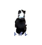 ぼすてりくかい（個別スタンプ：26）
