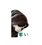 ぼすてりくかい（個別スタンプ：27）