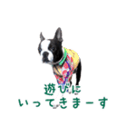 ぼすてりくかい（個別スタンプ：31）