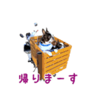 ぼすてりくかい（個別スタンプ：32）