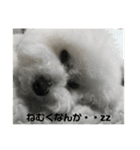 颯太（ふうた）のつぶやき（個別スタンプ：7）