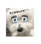 颯太（ふうた）のつぶやき（個別スタンプ：14）