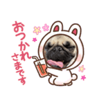 パグちゃんのネネ（個別スタンプ：6）