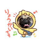 パグちゃんのネネ（個別スタンプ：7）