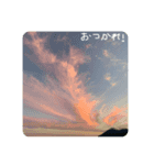 癒しの写真スタンプ（個別スタンプ：5）