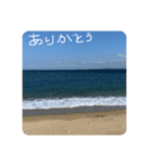 癒しの写真スタンプ（個別スタンプ：7）