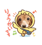 チワックスのクッキーちゃんVersion.2（個別スタンプ：8）