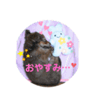 チワックスのクッキーちゃんVersion.2（個別スタンプ：13）