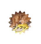 チワックスのクッキーちゃんVersion.2（個別スタンプ：24）