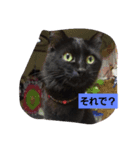 にんざぶろう。にっ（個別スタンプ：1）
