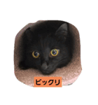にんざぶろう。にっ（個別スタンプ：4）