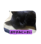 にんざぶろう。にっ（個別スタンプ：5）