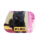 にんざぶろう。にっ（個別スタンプ：6）