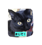 にんざぶろう。にっ（個別スタンプ：7）