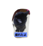 にんざぶろう。にっ（個別スタンプ：8）