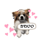 Banbi＆Tiffany（個別スタンプ：7）