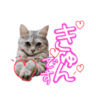 使えすぎるノアち（個別スタンプ：7）