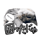使えすぎるノアち（個別スタンプ：10）