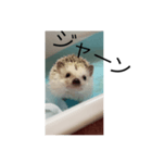 先生は美しい（個別スタンプ：1）