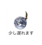 まるくてかわいいお豆たち（個別スタンプ：1）