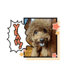 うちのUTA（個別スタンプ：8）