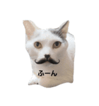 hogoneco（個別スタンプ：5）