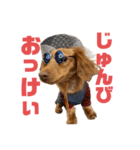 とんかつです。（個別スタンプ：8）