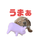 とんかつです。（個別スタンプ：21）