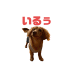 とんかつです。（個別スタンプ：23）