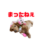 とんかつです。（個別スタンプ：27）