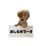 とんかつです。（個別スタンプ：32）
