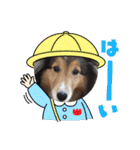 息子の犬（個別スタンプ：5）