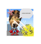 息子の犬（個別スタンプ：7）
