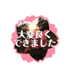 息子の犬（個別スタンプ：8）