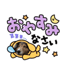 息子の犬（個別スタンプ：9）